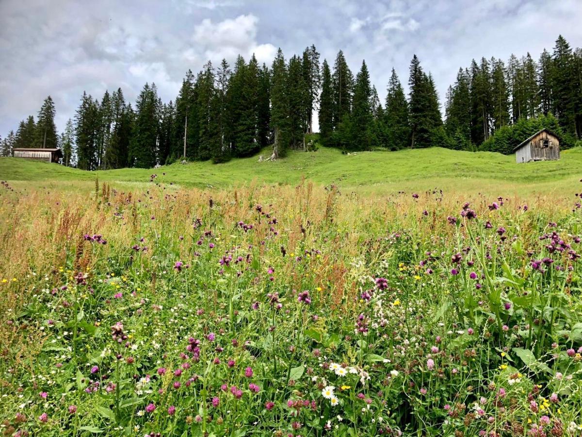 Villa Alma Arlberg Warth  Zewnętrze zdjęcie